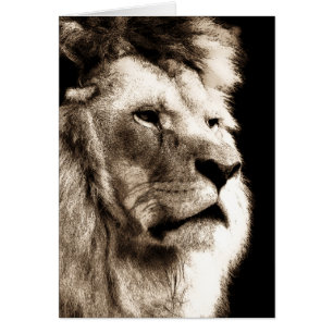 Sepia Lion Cards