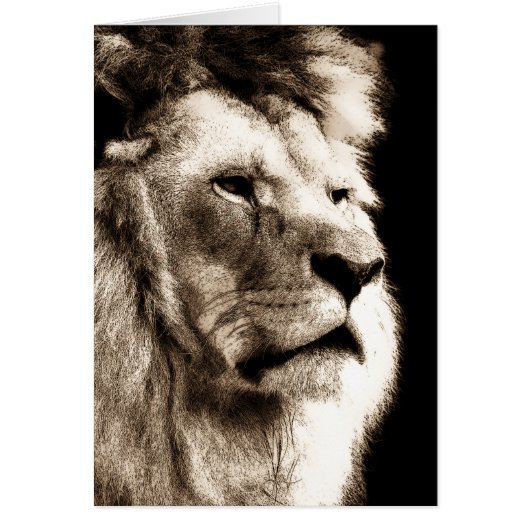 Sepia Lion Cards (Front)