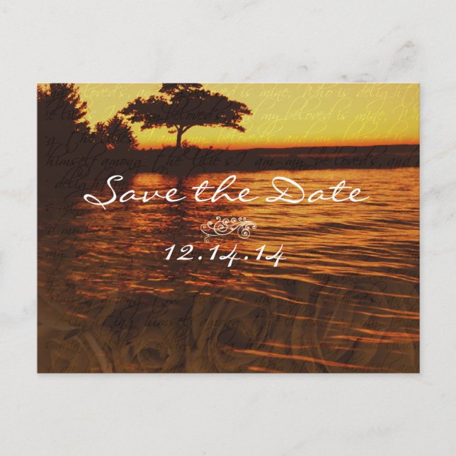 Sepia Old Time Roses Under the Calming Waves Announcement Postcard (Front)