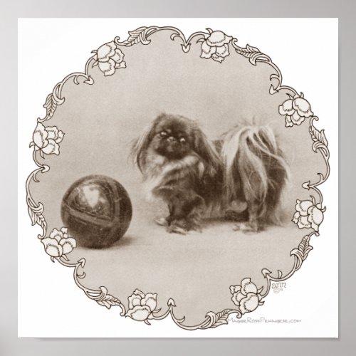 Sepia Pekingese Portrait Poster