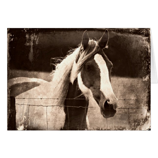 Sepia Pinto (Front Horizontal)