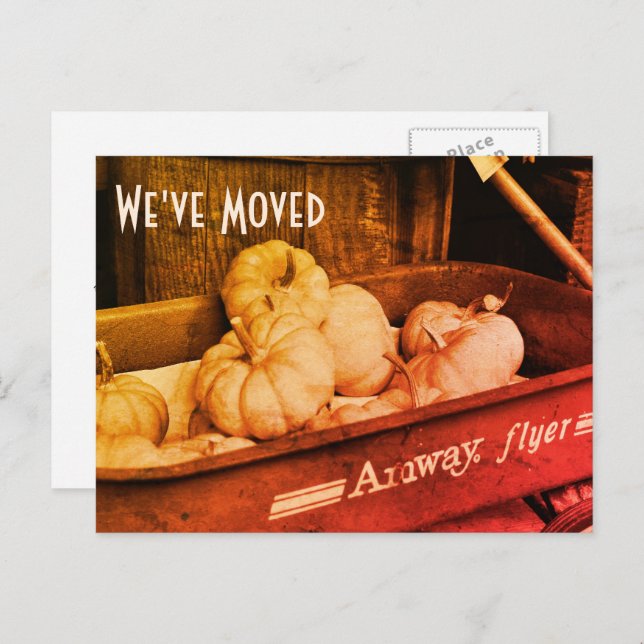 Sepia Pumpkins New Address Postcard (Front/Back)