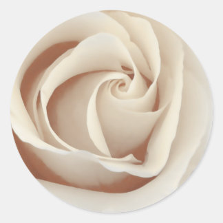 Sepia Rose Classic Round Sticker