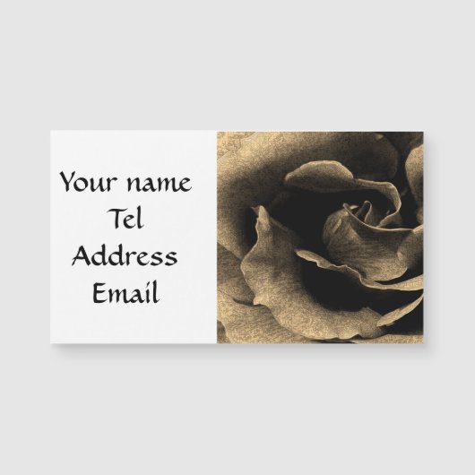 Sepia Rose in Ink (Front)