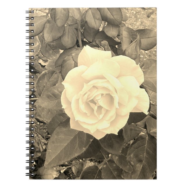 Sepia Rose Notebook  (Front)