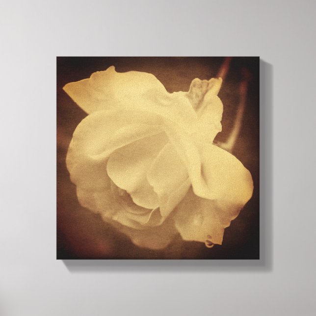 Sepia Rose With Raindrops Aged Vintage Look    Canvas Print (Front)