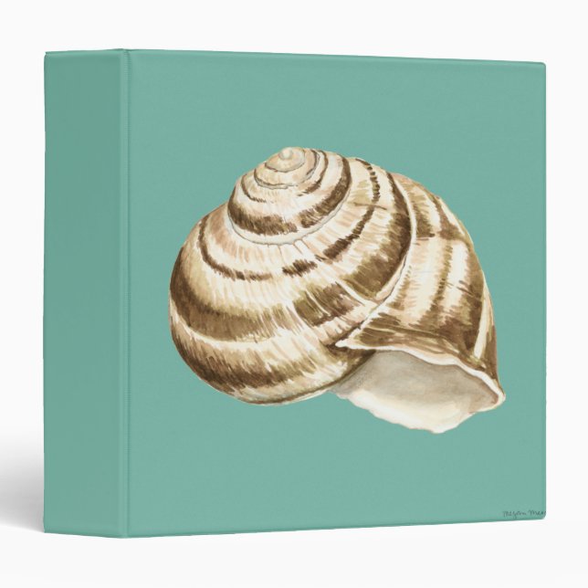 Sepia Striped Shell on Teal Binder (Front/Spine)