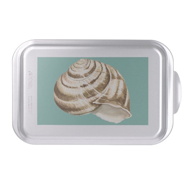 Sepia Striped Shell on Teal Cake Pan (Front)