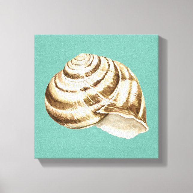 Sepia Striped Shell on Teal Canvas Print (Front)