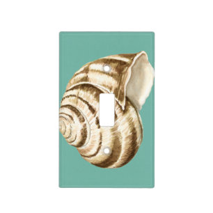 Sepia Striped Shell on Teal Light Switch Cover