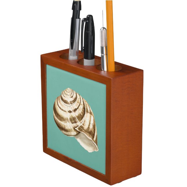 Sepia Striped Shell on Teal Pencil/Pen Holder (In Situ)
