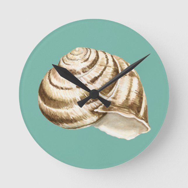 Sepia Striped Shell on Teal Round Clock (Front)