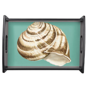 Sepia Striped Shell on Teal Serving Tray
