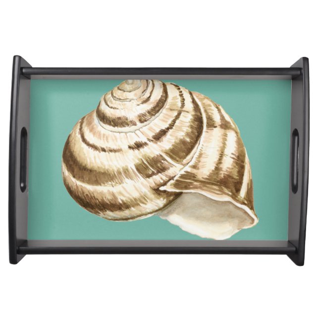 Sepia Striped Shell on Teal Serving Tray (Front)
