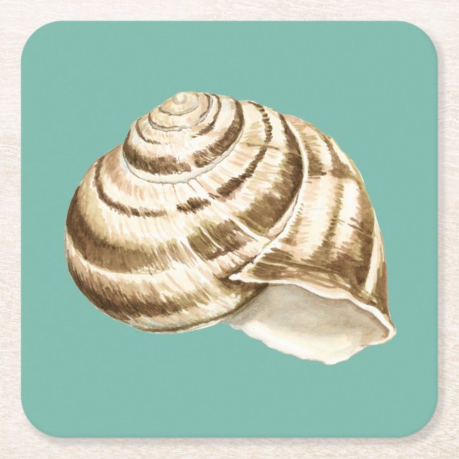Sepia Striped Shell on Teal Square Paper Coaster (Front)