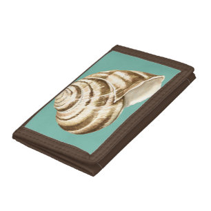 Sepia Striped Shell on Teal Tri-fold Wallet