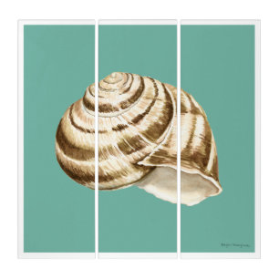 Sepia Striped Shell on Teal Triptych