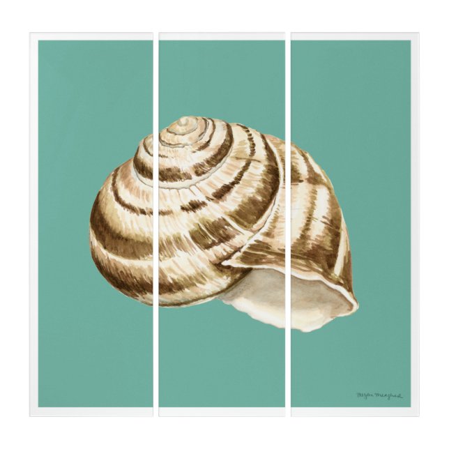 Sepia Striped Shell on Teal Triptych (Front)