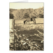 Sepia tone Brown horse and fence (Front)