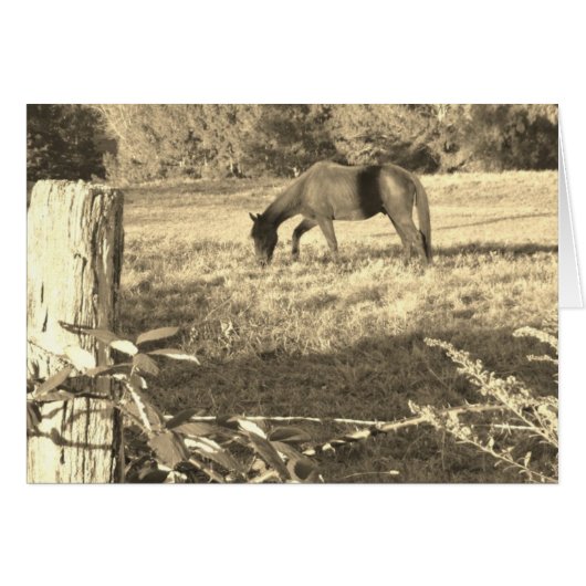 Sepia tone Brown horse and fence (Front Horizontal)