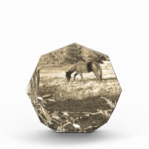 Sepia tone Brown horse and fence Award