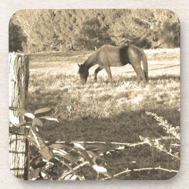 Sepia tone Brown horse and fence Beverage Coaster (Front)