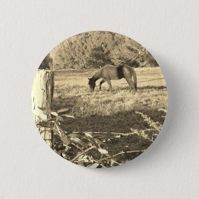Sepia tone Brown horse and fence Button (Front)
