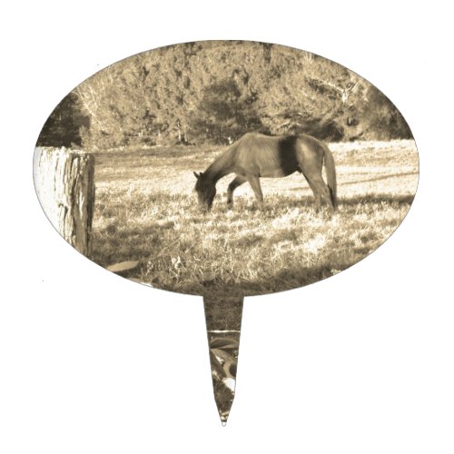 Sepia tone Brown horse and fence Cake Topper