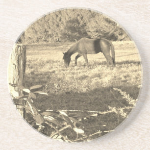 Sepia tone Brown horse and fence Coaster