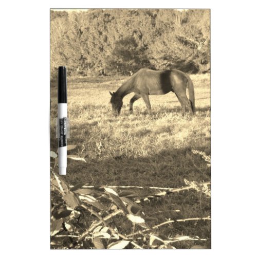 Sepia tone Brown horse and fence Dry_Erase Board