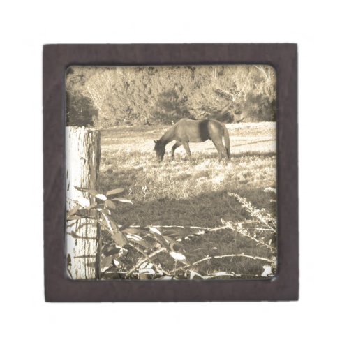 Sepia tone Brown horse and fence Gift Box