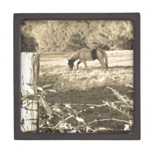 Sepia tone Brown horse and fence Keepsake Box