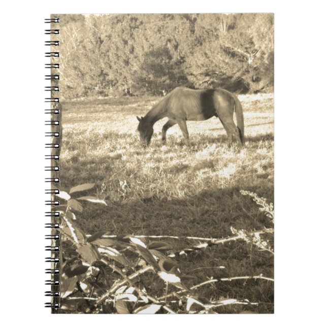 Sepia tone Brown horse and fence Notebook (Front)