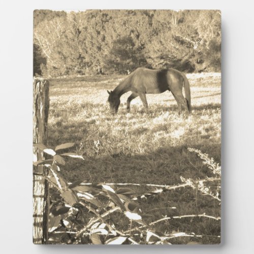 Sepia tone Brown horse and fence Plaque