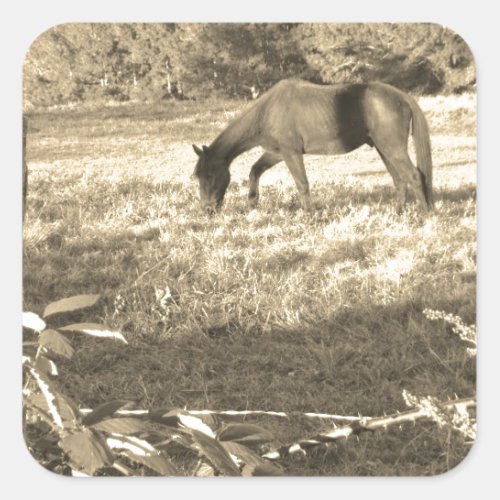 Sepia tone Brown horse and fence Square Sticker