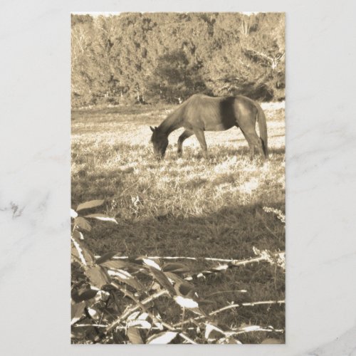 Sepia tone Brown horse and fence Stationery