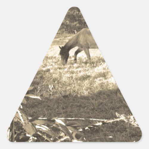 Sepia tone Brown horse and fence Triangle Sticker