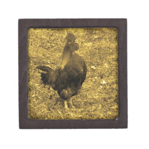 Sepia Tone Crowing Rooster Keepsake Box