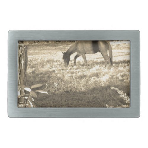 Sepia Tone  Photo of  brown Horse Belt Buckle