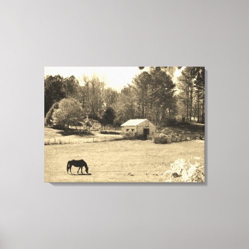 Sepia Tone  Photo of  brown Horse with Barn Canvas Print
