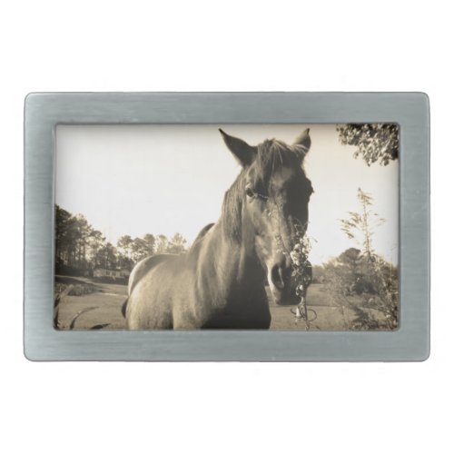Sepia Tone  Photo of  brown Horse with flowers Belt Buckle