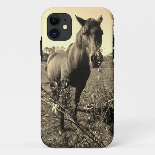 Sepia Tone  Photo of  brown Horse with flowers iPhone 11 Case