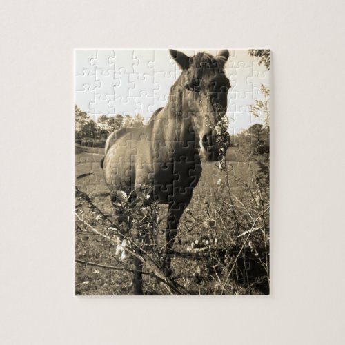 Sepia Tone  Photo of  brown Horse with flowers Jigsaw Puzzle