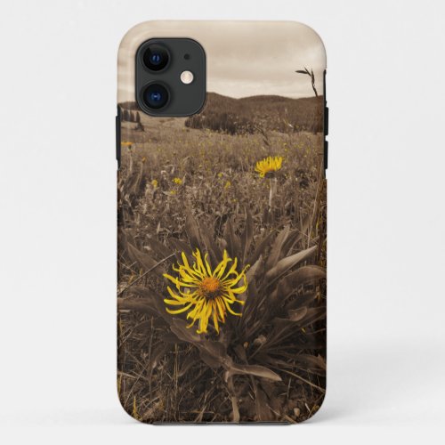 Sepia tone Yellow wildflowers iPhone 11 Case