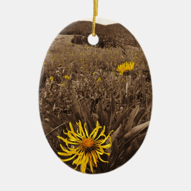 Sepia tone Yellow wildflowers Ceramic Ornament (Front)