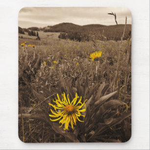 Sepia tone Yellow wildflowers Mouse Pad