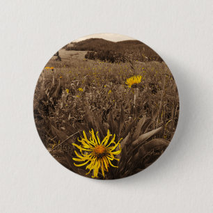 Sepia tone Yellow wildflowers Pinback Button