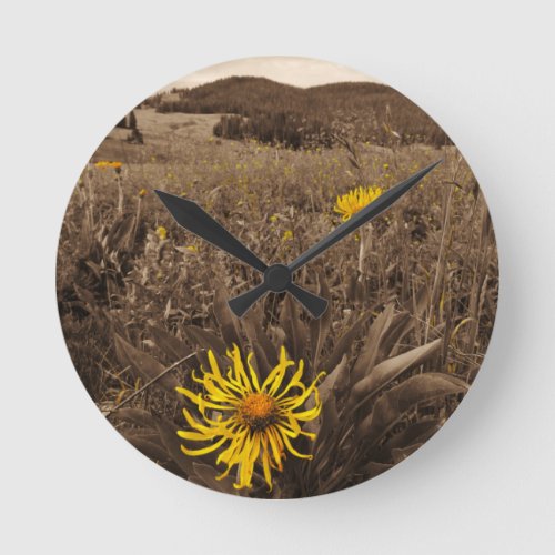 Sepia tone Yellow wildflowers Round Clock