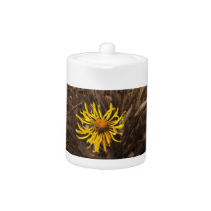 Sepia tone Yellow wildflowers Teapot