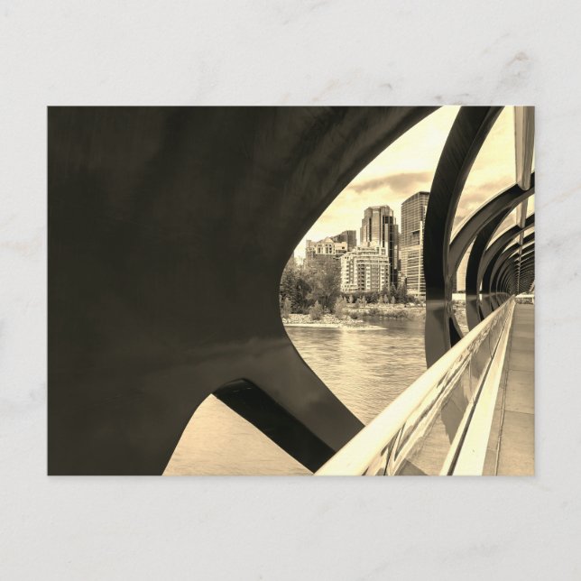 Sepia toned Calgary Cityscape through Peace Bridge Postcard (Front)